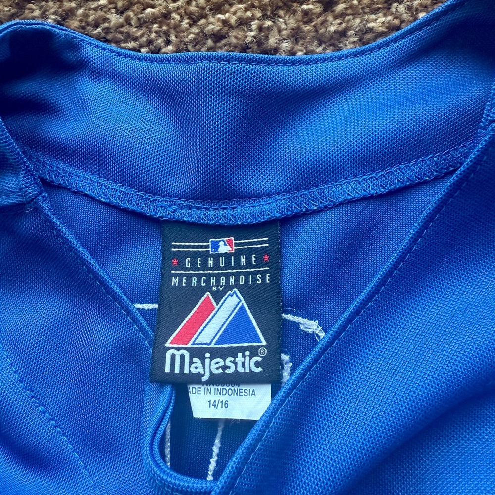 Soto Cubs Jersey - Picture 3 of 3